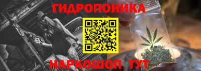гидропоника Брянск