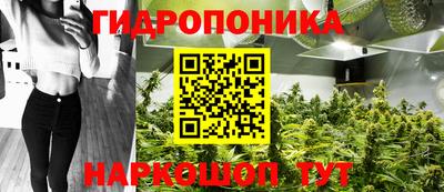 гашик Малоярославец